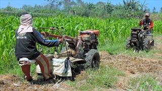 Two Power Tiller Hand Tractor Tilling Dry Topsoil for Watermelon Planting