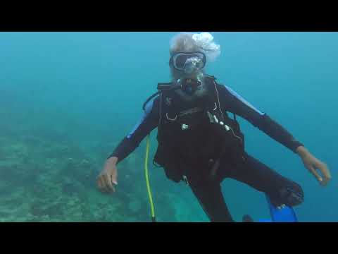 Dr Zakir Naik along with his Son Shaikh Fariq Naik Scuba Diving in Zanzibar