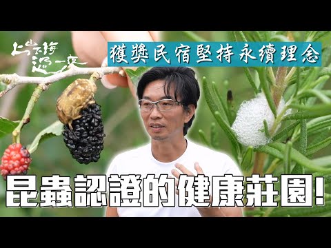 昆蟲認證的健康莊園！獲獎民宿堅持永續理念 香草植栽調出迷人氣味｜上山下海過一夜 精華