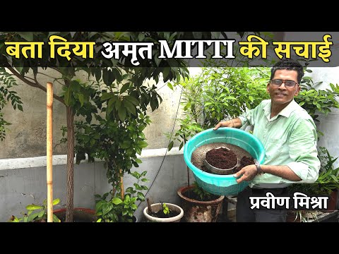 प्रवीण मिश्रा ने बता दिया अमृत MITTI की सचाई देख सभी हैरान Leafy Green Vegetables मिट्टी