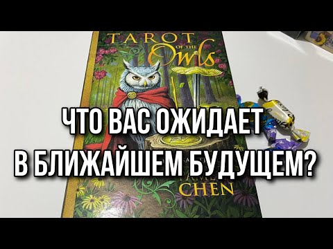 ЧТО ВАС ОЖИДАЕТ В БЛИЖАЙШЕМ БУДУЩЕМ? Гадание на таро Karina Tarot Reading