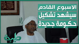 د.محمد حسين أبوصالح: الأسبوع القادم سيشهد التوقيع على الوثيقة السودانية