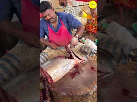 ⬆️KASIMEDU SPEED SELVAM BIG TUNA FISH 🐟 CUTTING VIDEO #kasimeduselvam #bigfish #youtube #shorts