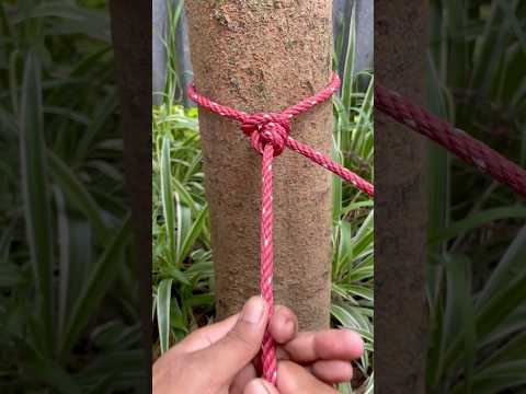 Brilliant Knot Tutorials 💯