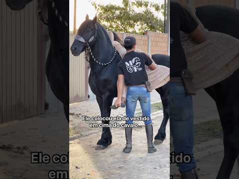 #piadas #cavalos #memesvaqueiros #agro #vaqueiras #humormemes #piadasengracadas #humor