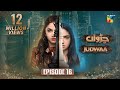 Judwaa - Episode 16 - 21st Feb 2025 [ Aina Asif & Adnan Raza Mir ] - HUM TV