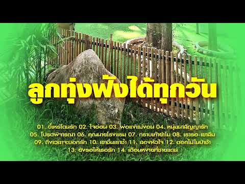 ลูกทุ่งฟังทุกวัน ขี้เหร่โดนรัก/โปรดพิจารณา/กราบเท้าย่าโม/ดอกไม้ในป่าช้า