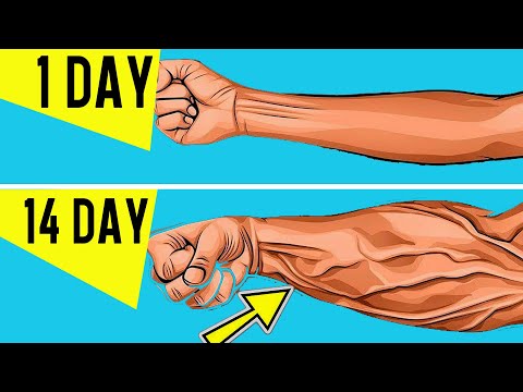 3 Exercises for FOREARM | Workout At Home