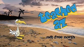 Teached Az: Net-Free North