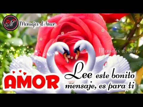 AMOR Lee este bonito mensaje si crees en el amor❤️ MENSAJES BONITOS para dedicar ABRELO Canción amor
