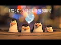 Operación y Fases de Interacción