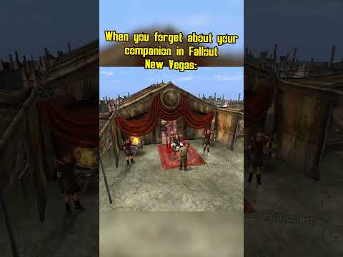 When you forget about your companion in fallout new vegas: #memes #fallout #shorts