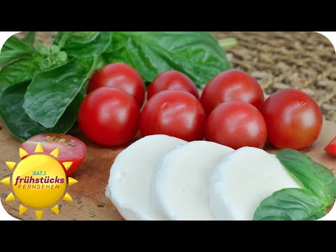 Caprese 2.0: Roberto Enßlen erklärt Burrata, Mozzarella und Bufala | SAT.1 Frühstücksfernsehen