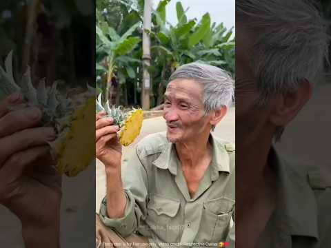 ग़रीब की मेहनत से अनन्नास 🍍 का पेड़ 🌴 उग गया😱 ~ mini wood toy-woodworking art skill/craft #shorts