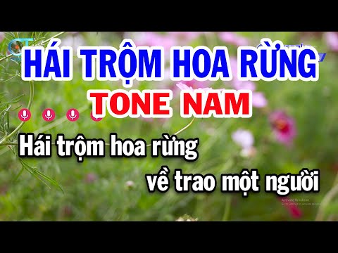 Karaoke Hái Trộm Hoa Rừng Tone Nam ( Em ) Nhạc Sống Phối Mới Dễ Hát | Đồng Sen