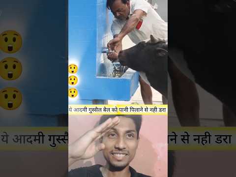 डरते डरते ही सही पर इंसानियत दिखाया जरूर,  May 22, 2024