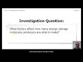 Photosynthesis and Energy Storage Concepts