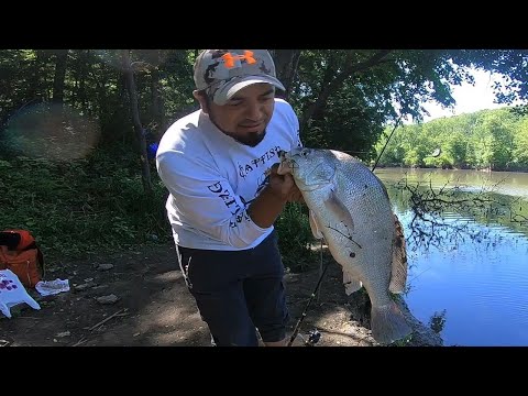 PESCANDO en un lugar MAGICO