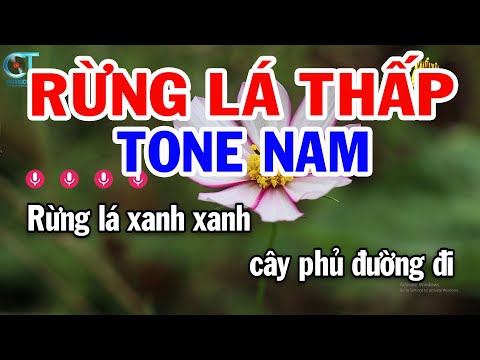 Karaoke Rừng Lá Thấp Tone Nam ( Bbm ) Nhạc Sống Tuấn Kiệt