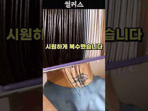제 머리카락 자른 시누에게 복수했습니다