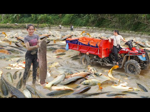 Use Off Road Truck To Catching A Lot Of Fish Goes To Sell For Villager At Market | Chuyên Bushcraft