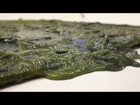 Cleaning The Cutest Rug Ever ! But How Did It Get So Slimy | Satisfying ASMR Carpet Cleaning