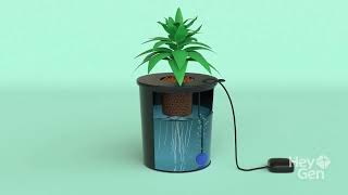 DWC vs. Wick: Best Hydroponic System for Beginners