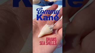 Drawing Seashells