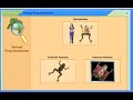 Virtual Frog Dissection Lab Guidelines