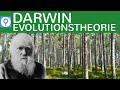 evolutionstheorie-darwin-selektionstheorie/