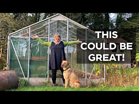 Rejuvenating a greenhouse | For winter growing under cover