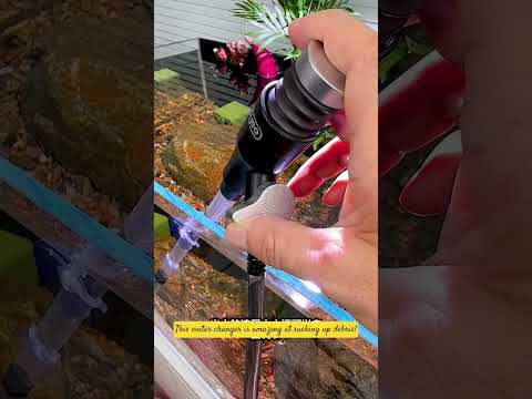 Siphon Water Changer#aquarium #aquascapelowtech #aquariumsubstrate #aquascape #fishtankgravel #fish