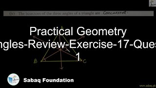 Practical Geometry Triangles-Review-Exercise-17-Question 1