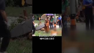 11歳の少年、タイの僧侶行列に車を突っ込み９僧侶死亡 #shorts