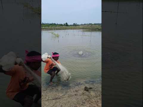 fishing net #shorts 🐟🐟🐟