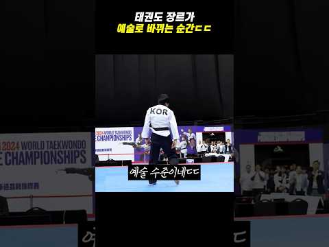 태권도 장르가 예술로 바뀌는 순간ㄷㄷ