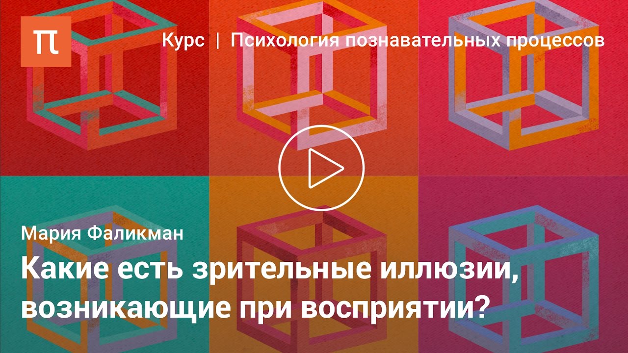 Основные феномены восприятия - Мария Фаликман