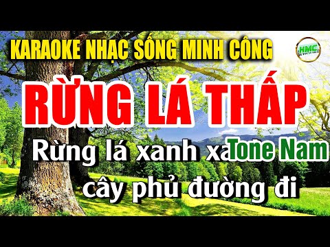Rừng Lá Thấp Karaoke Nhạc Sống Bolero Tone Nam – BEAT PHỐI MỚI HAY NHẤT 2025