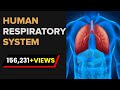 Respiratory System Concepts