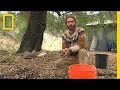Composting Practices and Benefits