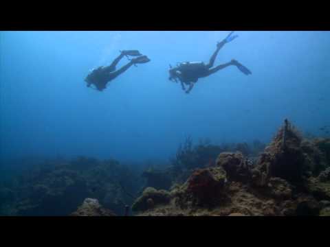 Diving Near St. Croix