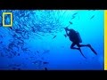 Exploring the Ocean Depths