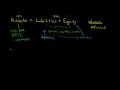 Understanding the Basic Accounting Equation
