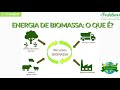Biomass Energy Concepts and Applications