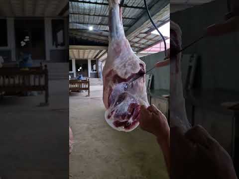 Qassob Gulomiddin 🇺🇿 #meat #bbqmeat #lambs #animals #sheepworld