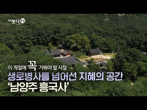 생로병사를 넘어선 지혜의 공간 '남양주 흥국사' | 바람, 물, 새소리로 듣는 마음여행 | 이 계절에 꼭 가봐야 할 사찰
