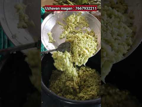 முருங்கைக்காயில் இவ்ளோ மதிப்பு கூட்டப்பட்ட பொருட்களா? | moringa value added products