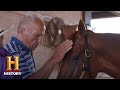 Horse Power and Family Legacy