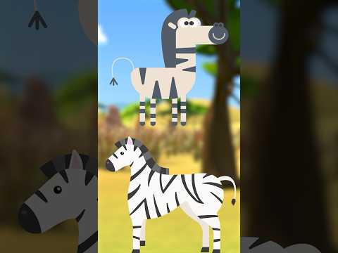 What's a Zebra? Learn with Blippi! #blippi #shorts