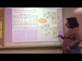 Understanding Decimals and Their Representation